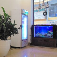Halong New Sun Hotel развлечения
