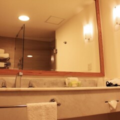 Отель Holiday Inn Hotel & Suites Centro Historico Мексика, Гвадалахара - отзывы, цены и фото номеров - забронировать отель Holiday Inn Hotel & Suites Centro Historico онлайн ванная фото 2