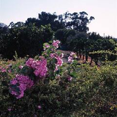 Отель Quinta Da Praia Das Fontes фото 25