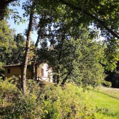 Отель Agriturismo Fattoria La Prugnola Монтескудаио фото 9