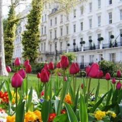 Отель Chrysos Hotel Великобритания, Лондон - отзывы, цены и фото номеров - забронировать отель Chrysos Hotel онлайн фото 2