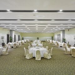 Crowne Plaza Rome-St. Peter's Hotel & Spa Рим фото 13