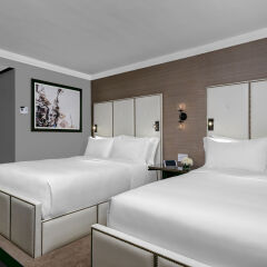 Executive Class at MTS Hotel комната для гостей фото 2