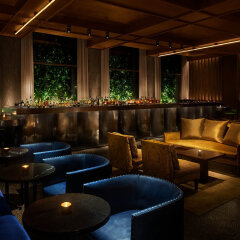 Отель PUBLIC, an Ian Schrager hotel США, Нью-Йорк - отзывы, цены и фото номеров - забронировать отель PUBLIC, an Ian Schrager hotel онлайн гостиничный бар фото 2