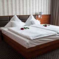 Business Hotel Vega Wroclaw фото 24