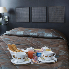 Hotel Brittany Opera Париж в номере