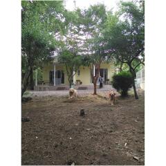 Отель Guests & Dogs House Hale Ilio Ито
