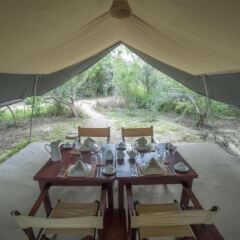 Отель Wild Trails Yala Tented Safari Camp питание фото 3