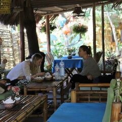 Отель Under the coconut tree гостиничный бар
