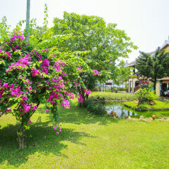 Отель Pho Hoi Riverside Resort Хойан фото 5