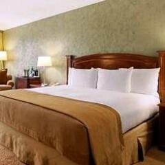 Отель Hilton Universal City 4* Стандартный номер фото 14