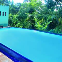 Отель Tropical Retreat бассейн фото 3