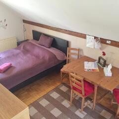 Отель Book-A-Room City Apartment Salzburg Австрия, Зальцбург - отзывы, цены и фото номеров - забронировать отель Book-A-Room City Apartment Salzburg онлайн комната для гостей фото 3