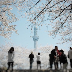 Отель Keihan Asakusa Япония, Токио - отзывы, цены и фото номеров - забронировать отель Keihan Asakusa онлайн приотельная территория