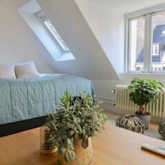 Апартаменты Two-Story LUX Apartment in Heart of Cph комната для гостей фото 4