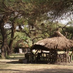 Lake Natron Tented Camp in Arusha, Tanzania from 293$, photos, reviews - zenhotels.com photo 6