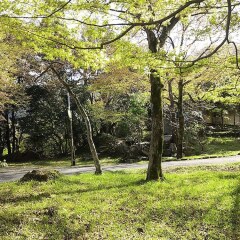 Отель Cultural Property Of Japan Senzairo Йоро фото 10