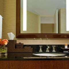 Hyatt Regency Dulles in Herndon, United States of America from 237$, photos, reviews - zenhotels.com bathroom