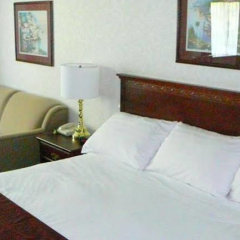 Отель Coast Abbotsford Hotel & Suites Канада, Эбботсфорд - отзывы, цены и фото номеров - забронировать отель Coast Abbotsford Hotel & Suites онлайн комната для гостей фото 5