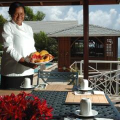 Отель Spring House Bequia гостиничный бар