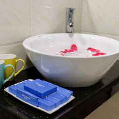 Отель Hanoi Genial Hotel Вьетнам, Ханой - отзывы, цены и фото номеров - забронировать отель Hanoi Genial Hotel онлайн ванная