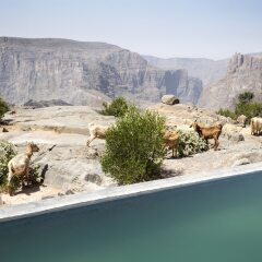 Отель Anantara Al Jabal Al Akhdar Resort Оман, Низва - отзывы, цены и фото номеров - забронировать отель Anantara Al Jabal Al Akhdar Resort онлайн фото 14