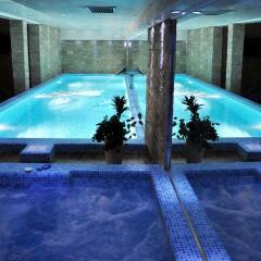 Premier Prezident Garni Hotel And Spa Сремски-Карловци бассейн фото 3