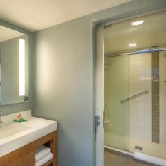 Отель Hyatt Place Washington DC/National Mall США, Вашингтон - отзывы, цены и фото номеров - забронировать отель Hyatt Place Washington DC/National Mall онлайн ванная