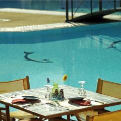 Dionysos Hotel питание