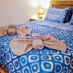 Отель Pleasure Room 4 By The Sea Греция, Остров Санторини - отзывы, цены и фото номеров - забронировать отель Pleasure Room 4 By The Sea онлайн комната для гостей фото 4
