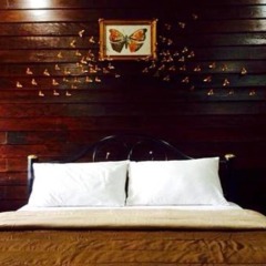 Отель K Guesthouse Таиланд, Краби - отзывы, цены и фото номеров - забронировать отель K Guesthouse онлайн комната для гостей