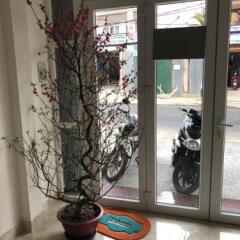 Van Minh Hotel Далат развлечения