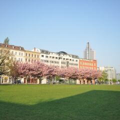 Отель City Park Boarding House спортивное сооружение