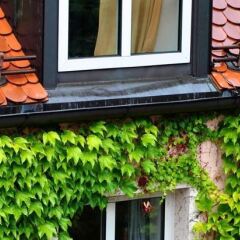 Отель Golden Leaf Hotel Altmünchen Германия, Мюнхен - 6 отзывов об отеле, цены и фото номеров - забронировать отель Golden Leaf Hotel Altmünchen онлайн