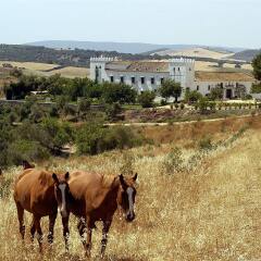 Отель Cortijo Barranco фото 2