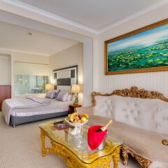 Vnukovo Village Park Hotel and Spa комната для гостей фото 2