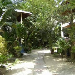 Отель Koh Tao Tropicana Resort Таиланд, Остров Тау - отзывы, цены и фото номеров - забронировать отель Koh Tao Tropicana Resort онлайн фото 11