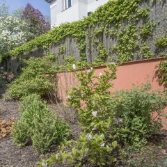 Отель Garden Grape House фото 8