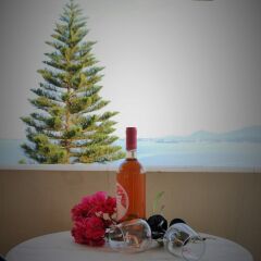 Отель Stefanos Place Греция, Корфу - отзывы, цены и фото номеров - забронировать отель Stefanos Place онлайн фото 17