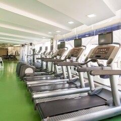 Отель Holiday Inn Dubai - Al Barsha ОАЭ, Дубай - отзывы, цены и фото номеров - забронировать отель Holiday Inn Dubai - Al Barsha онлайн фитнесс-зал