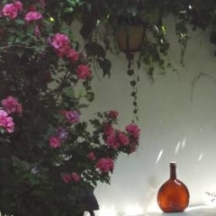Отель Pension Vila Šárka