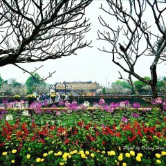 Отель Hue Serene Shining Hotel & Spa Вьетнам, Хюэ - отзывы, цены и фото номеров - забронировать отель Hue Serene Shining Hotel & Spa онлайн помещение для мероприятий