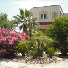 Отель Summer Memories Hotel Apartments Греция, Родос - отзывы, цены и фото номеров - забронировать отель Summer Memories Hotel Apartments онлайн фото 2