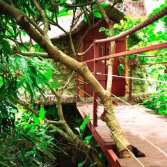 Отель Dao Anh Khanh Treehouse Ханой фото 16