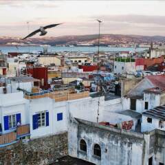 Отель Dar El Kasbah Марокко, Танжер - отзывы, цены и фото номеров - забронировать отель Dar El Kasbah онлайн фото 2