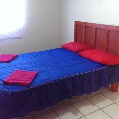 Blue Pepper Hostel Downtown Гвадалахара комната для гостей фото 3