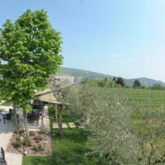 Отель Agriturismo Sol De Montalto Риволи-Веронезе фото 18