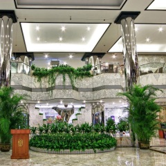Kinkey Oriental Regent Hotel Shenzhen Шэньчжэнь интерьер отеля фото 2
