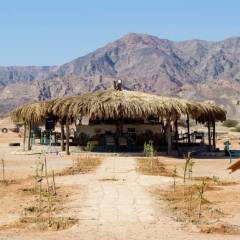 Отель Wishwashi Camp & Resort фото 3
