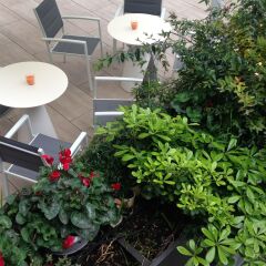 Отель Hilton Garden Inn Milan North Италия, Милан - - забронировать отель Hilton Garden Inn Milan North, цены и фото номеров балкон